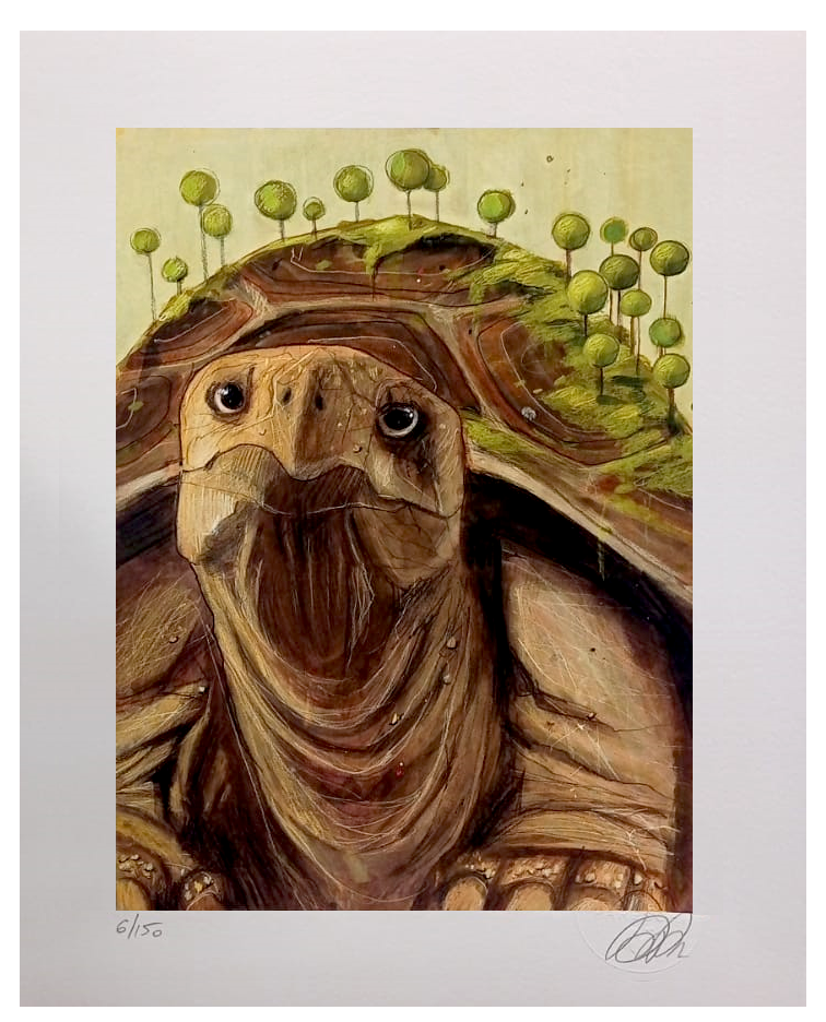 Grafica di Daniela Pareschi: "Quelli che vivono più dell'uomo"