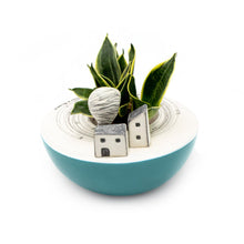 Carica l'immagine nel visualizzatore di Gallery, Terre di Scirocco: Serie "Graffiti" Le Piazzette