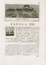 Carica l'immagine nel visualizzatore di Gallery, Incisione d'antiquariato "Antichità di Ercolano Esposte: pittura parietale con maschere e felino"