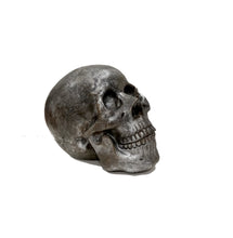 Carica l'immagine nel visualizzatore di Gallery, Scultura in resina "Cranio" - SIGNUM Avellino