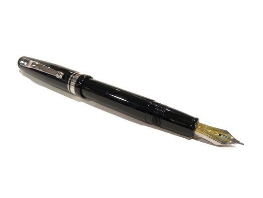 Penna Stilografica Delta Fusion nero lucido