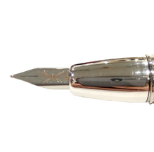 Carica l'immagine nel visualizzatore di Gallery, Penna stilografica Delta Fluida rosa pennino