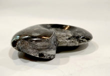 Carica l'immagine nel visualizzatore di Gallery, Fossile di Manticoceras