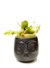 Carica l'immagine nel visualizzatore di Gallery, Vaso porta piante "Viso" piccolo Hoff Interieur