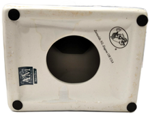 Carica l'immagine nel visualizzatore di Gallery, Scultura Modello testa "Frenologia di N. Fowler" Authentic Models