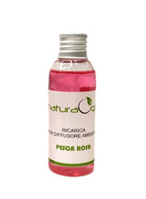 Carica l'immagine nel visualizzatore di Gallery, Diffusore di profumo per ambiente "Cactus" Natura Oggi pesca rosa