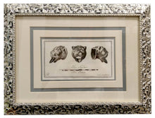 Carica l'immagine nel visualizzatore di Gallery, Incisione d'antiquariato "Antichità di Ercolano Esposte: Elementi fittili a forma di felino"