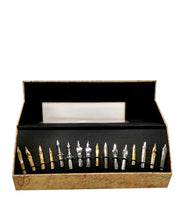 Carica l'immagine nel visualizzatore di Gallery, Set da 16 punte Calligrafiche per cannetta "The Writing Nib Collection" Authentic Models
