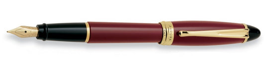 Penna Stilografica Aurora Ipsilon bordeaux
