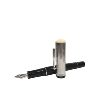 Carica l&#39;immagine nel visualizzatore di Gallery, Penna Stilografica Delta Via Veneto Argento
