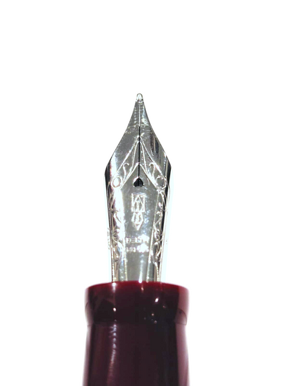 Penna stilografica edizione limitata Delta Circle of Life Red