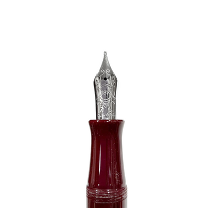 Penna Stilografica Aurora 80° anniversario