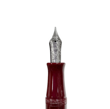 Carica l&#39;immagine nel visualizzatore di Gallery, Penna Stilografica Aurora 80° anniversario
