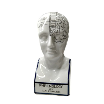 Scultura Modello testa "Frenologia di N. Fowler" Authentic Models