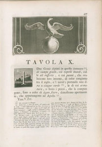 Incisione d'antiquariato "Antichità di Ercolano Esposte: pittura parietale con uccello ad ali spiegate su sfera"