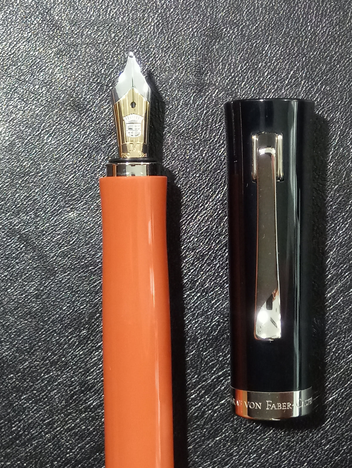 Penna stilografica Graf Von Faber-Castell Intuition Terra