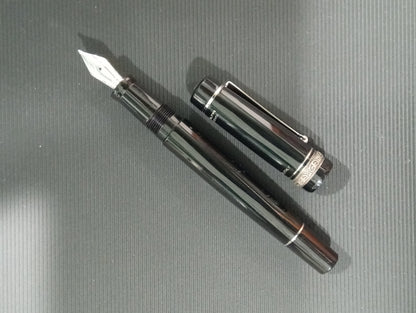 Penna stilografica edizione limitata Delta Dolce Vita Black & White