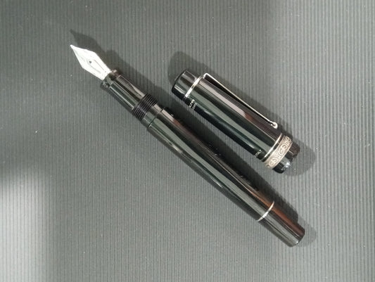 Penna stilografica edizione limitata Delta Dolce Vita Black & White