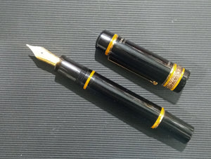 Link Personalizzato "Penna stilografica con pennino in oro  edizione limitata Delta Dolce Vita Classic"