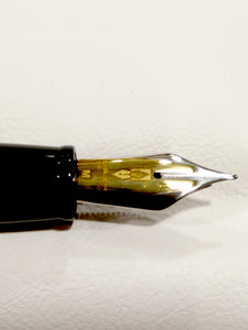 Penna Stilografica Delta Fusion nero lucido pennino