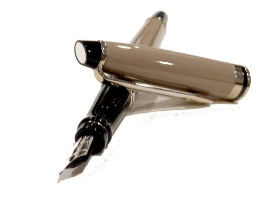 Penna Stilografica Watermann Expert Taupe