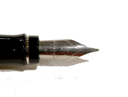 Penna Stilografica Watermann Expert Taupe