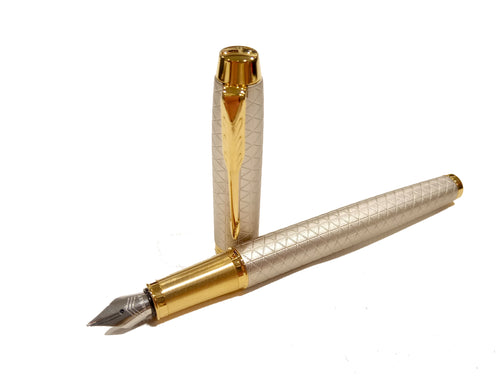 Penna stilografica Parker IM Premium Warm Silver
