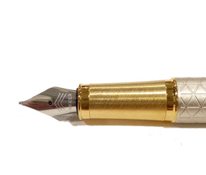 Penna stilografica Parker IM Premium Warm Silver penninp