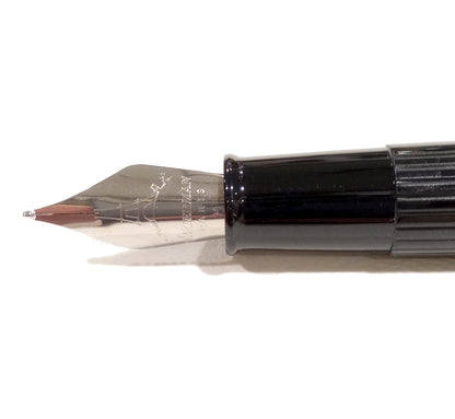 Penna Stilografica Watermann Emblème bianco pennino