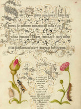 Carica l&#39;immagine nel visualizzatore di Gallery, pagina originale del manoscritto
