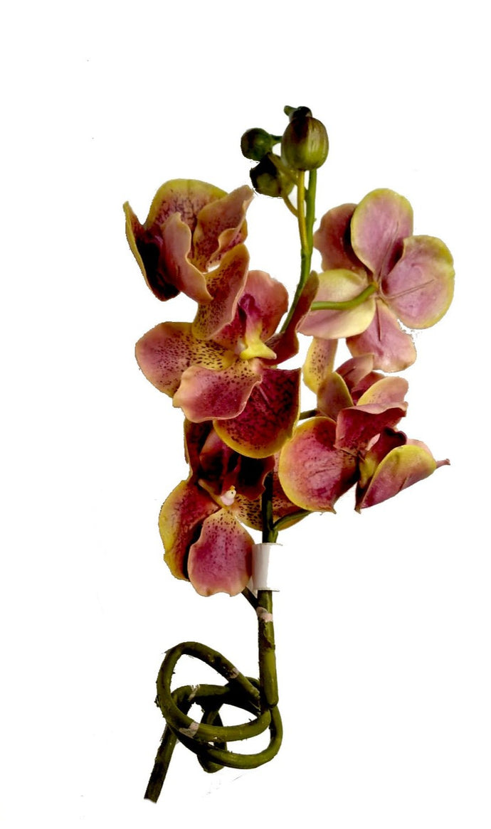 Ramo artificale di Orchidea Vanda Large