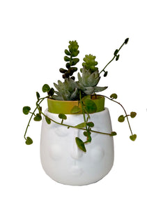 Vaso porta piante "Viso" piccolo Hoff Interieur