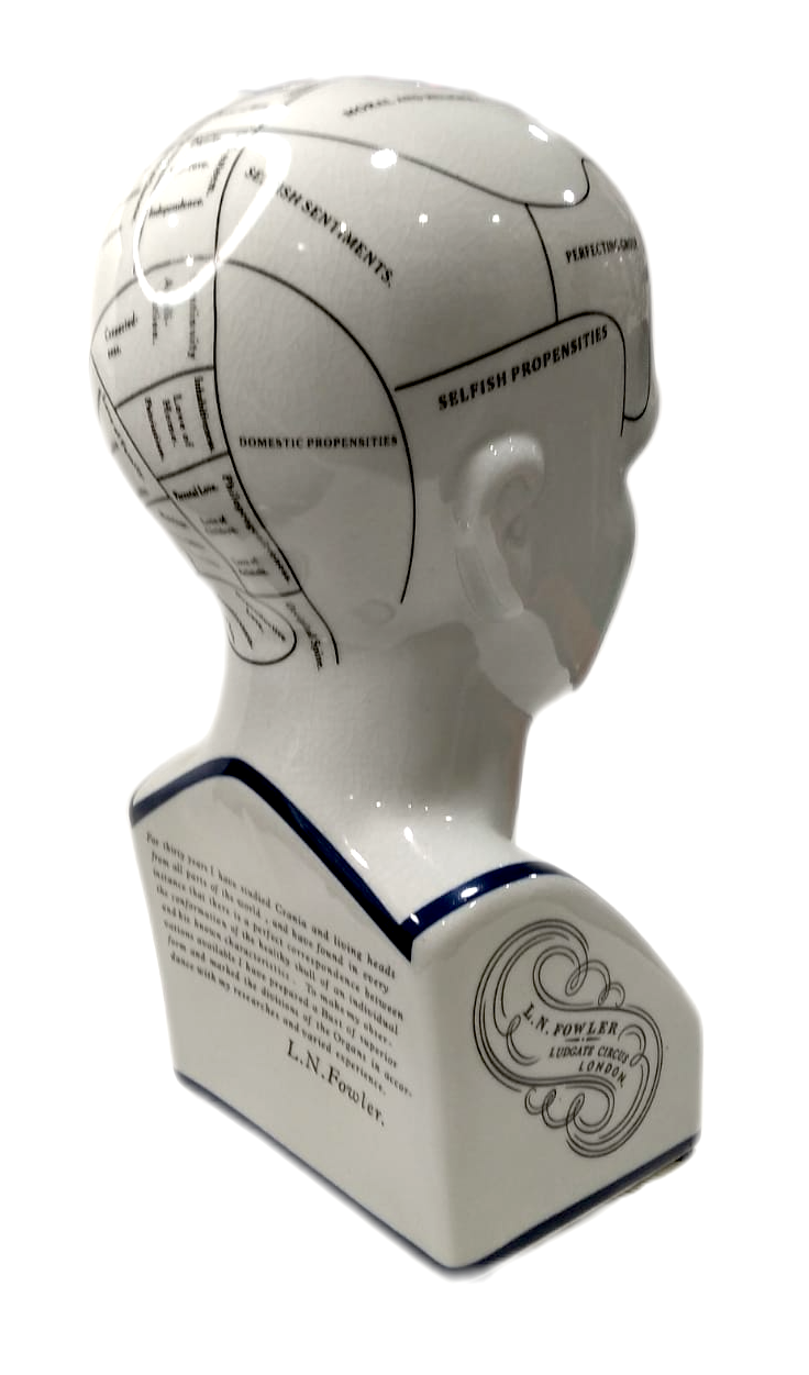 Scultura Modello testa "Frenologia di N. Fowler" Authentic Models