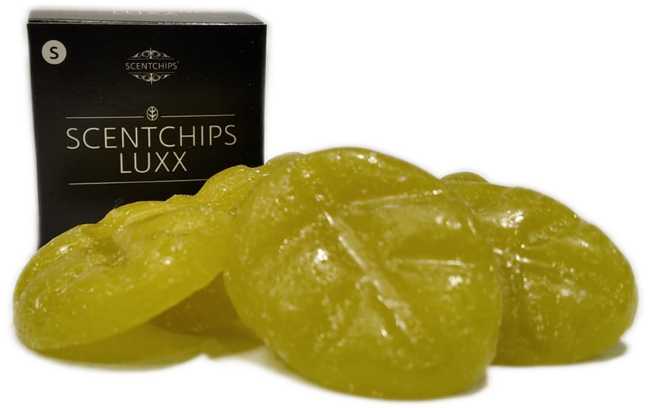 Kit 8 cialde profumate Scentchips  TOUCH OF GOLD
