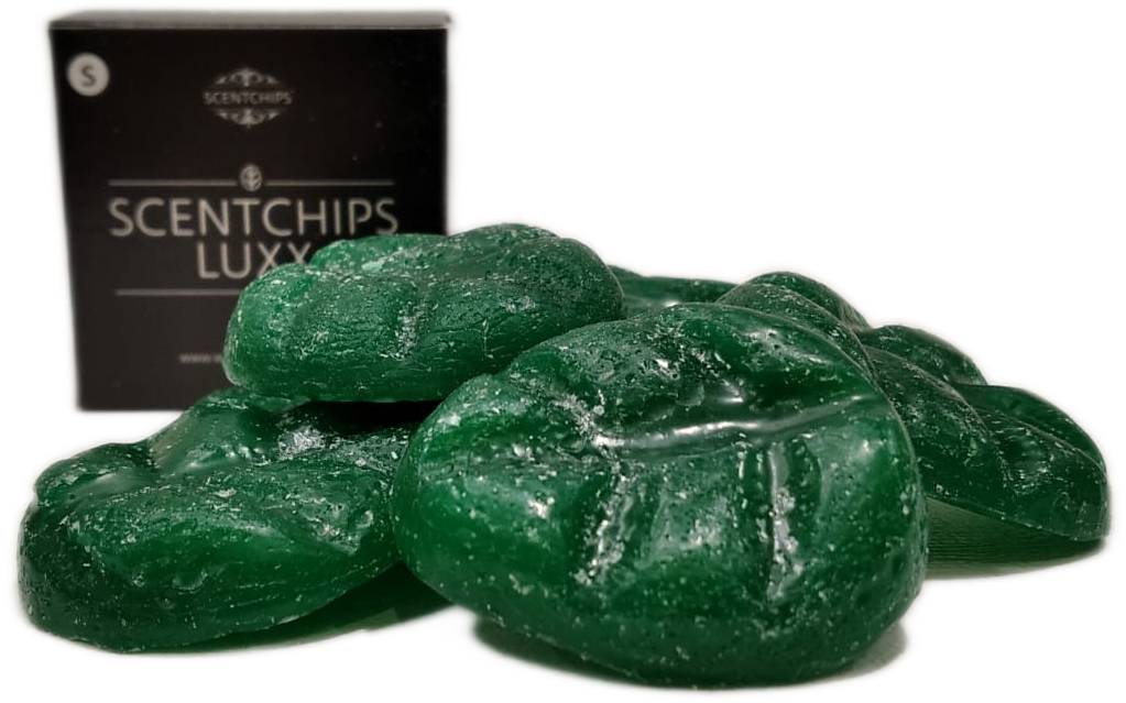 Kit 8 cialde profumate Scentchips WINTER WOODS