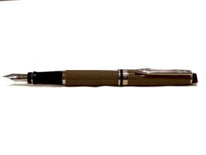Penna Stilografica Watermann Expert Dark Brown