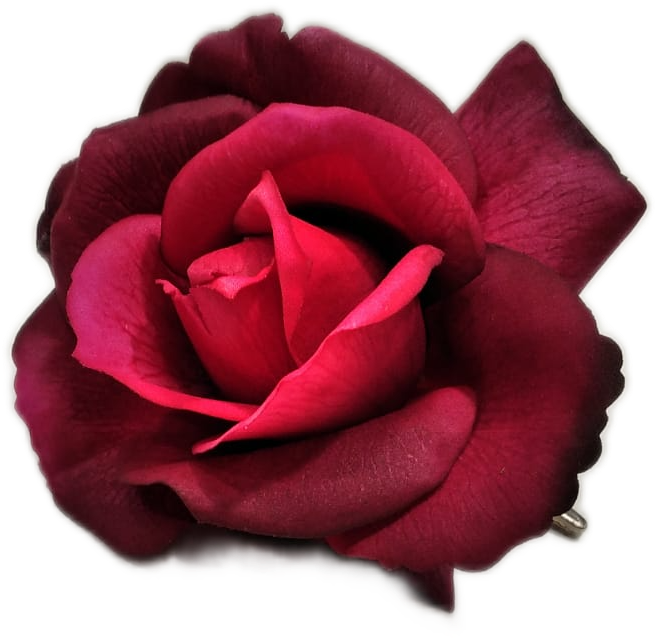 Rosa artificiale con fermaglio a clip "Burgundy" Jordan fioritura media