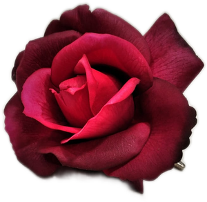 Rosa artificiale con fermaglio a clip "Burgundy" Jordan fioritura media